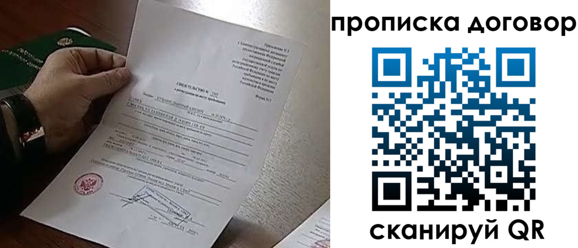прописка законно в Пионерском
