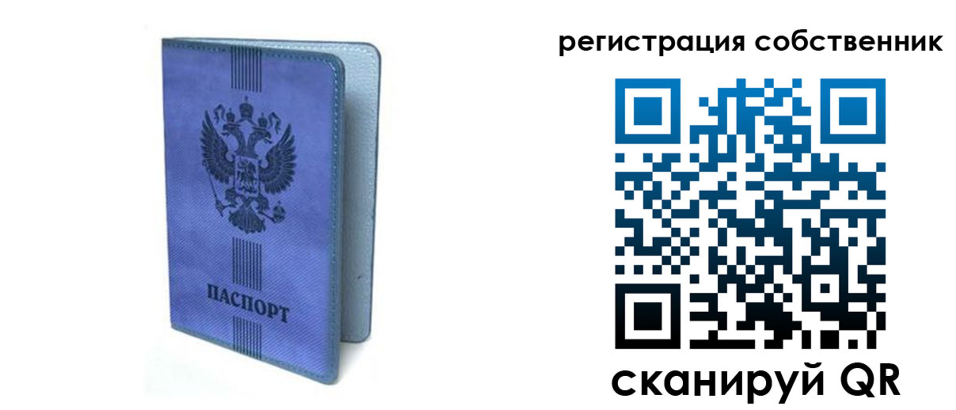 прописка 2025 в Пионерском