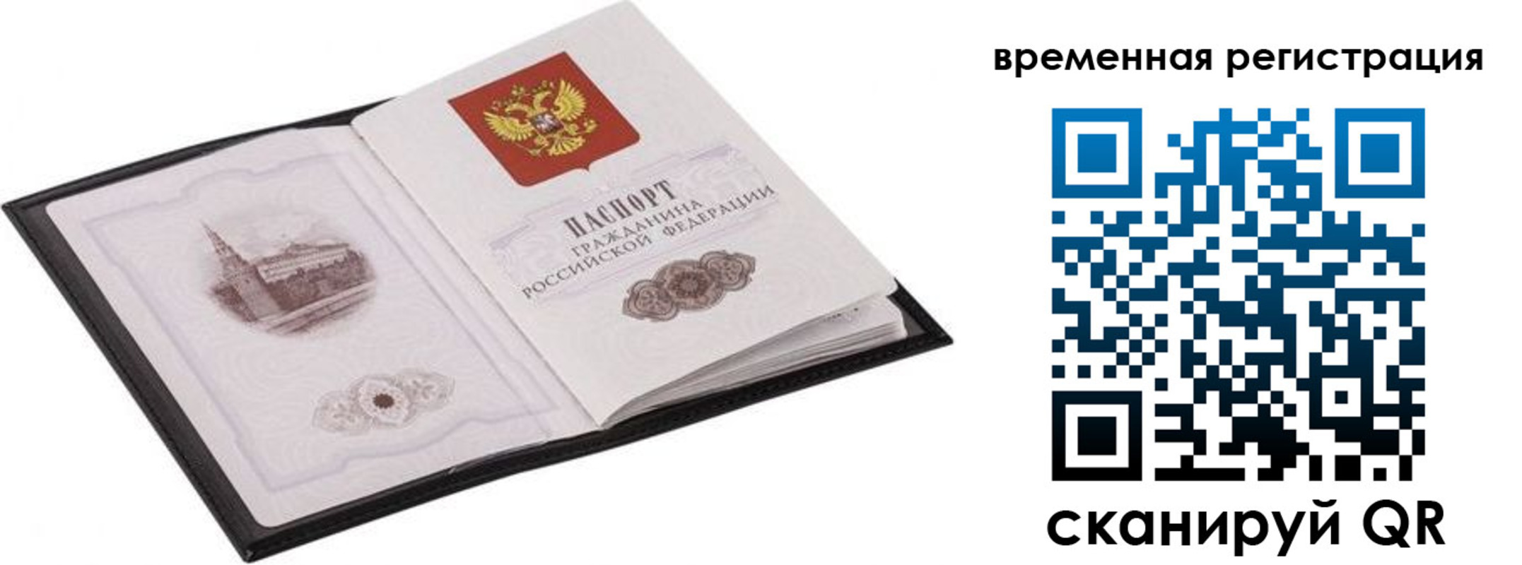где прописаться в Пионерском